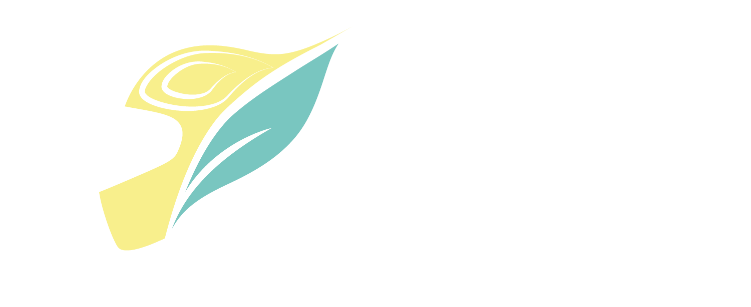 tds racing impact